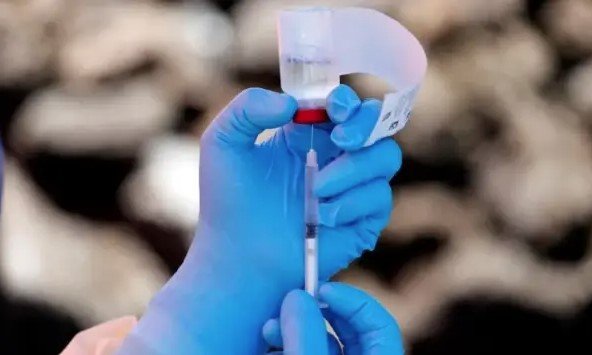 কঙ্গো-উগান্ডায় ইবোলা ভাইরাসে ৮০ জনের মৃত্যু, জরুরি অবস্থা ঘোষণা