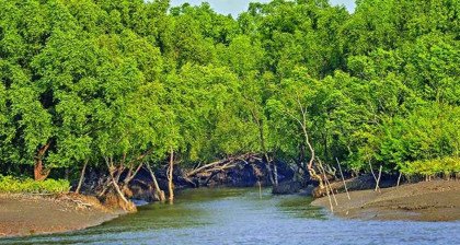 তিন মাস নিষেধাজ্ঞার পর আজ খুলছে সুন্দরবন