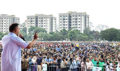 ডেঙ্গু প্রতিরোধে ৩ মাসের বিশেষ অভিযান উদ্বোধন করলেন প্রধানমন্ত্রী তারেক রহমান